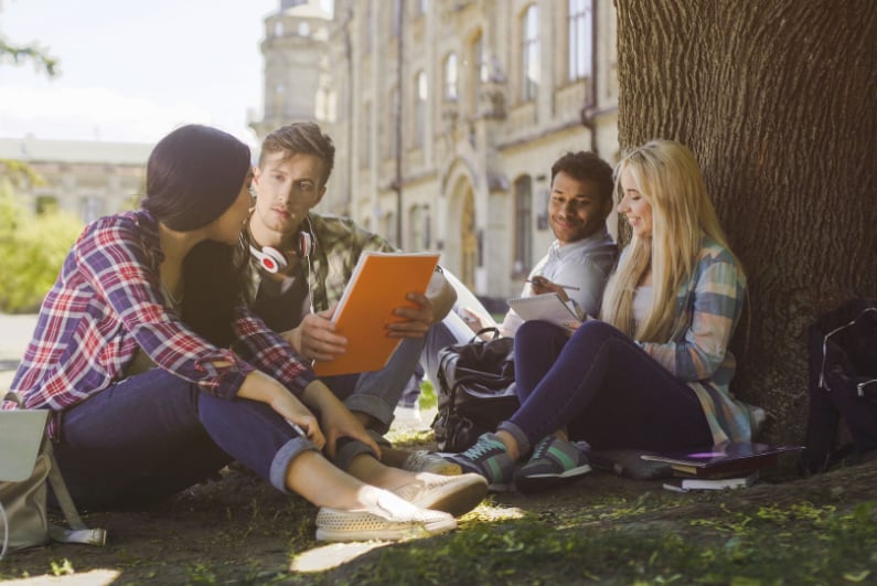 College students sitting outside