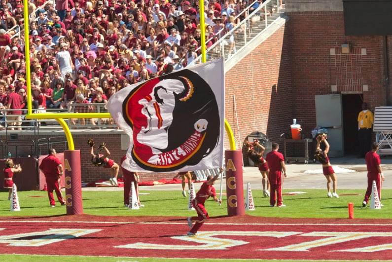 Cheerleader waving giant FSU flag